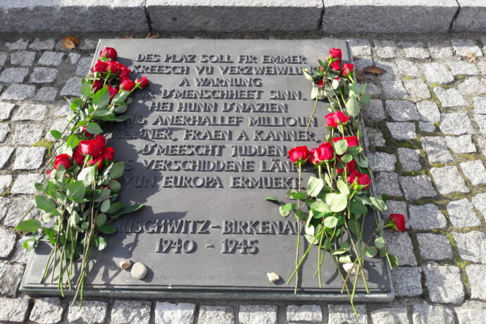 Travail sur la mémoire : Visite à Oświęcim